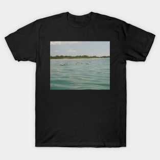 Ducks in a lake T-Shirt